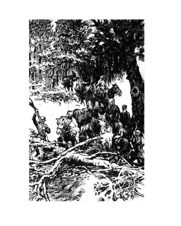 В горах Сихотэ-Алиня; По Уссурийскому краю (комплект из 2-х книг)