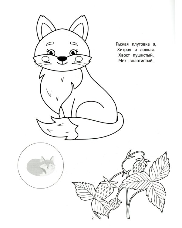 На лесной полянке: пальчиковые раскраски с наклейками