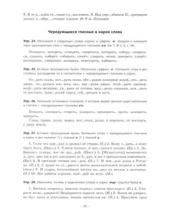 Русский язык. Практикум по орфографии и пунктуации