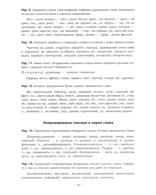 Русский язык. Практикум по орфографии и пунктуации