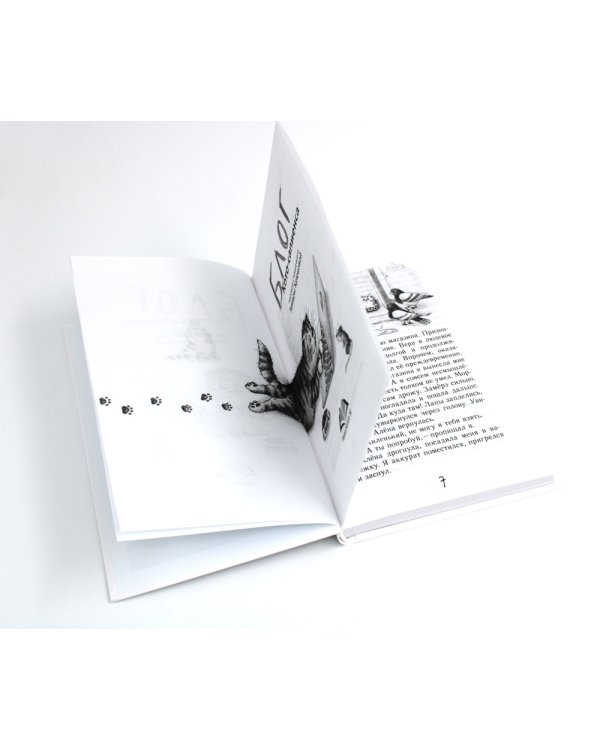 Блог кото-сапиенса: юмористическая повесть в рассказах