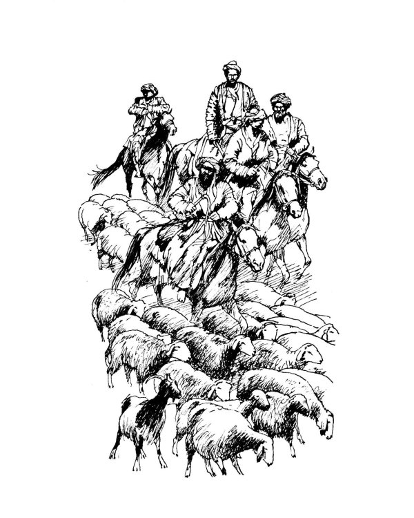 На заре туманной юности: повести и рассказы