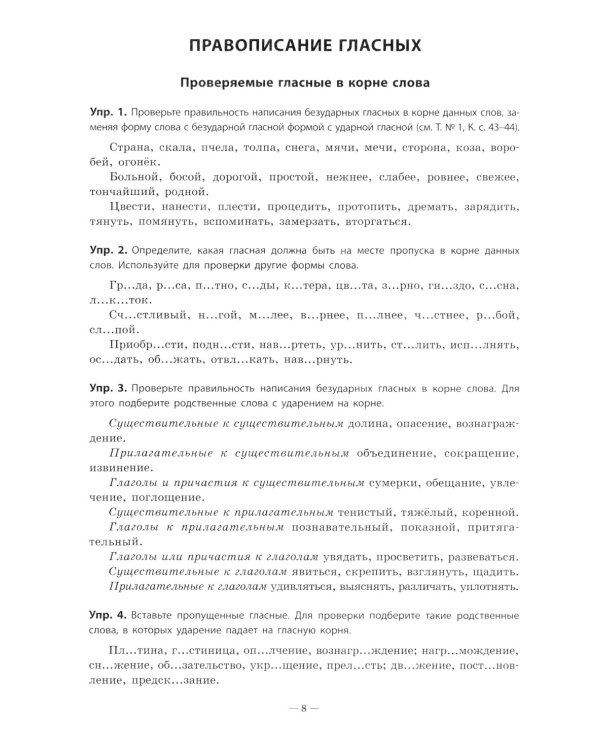 Русский язык. Практикум по орфографии и пунктуации