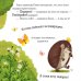 Приключения Ежика. Круглый год в лесу