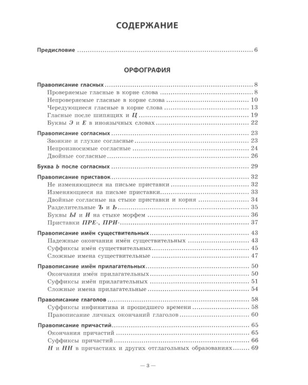 Русский язык. Практикум по орфографии и пунктуации