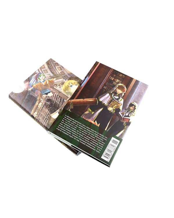 Архимаг библиотеки. Кн 1+2: манга (комплект из 2-х книг)