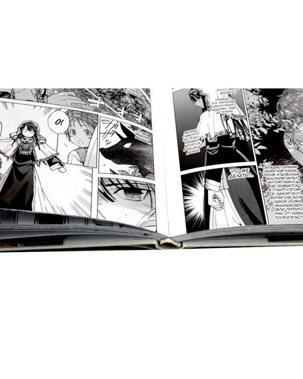 Архимаг библиотеки. Кн 1+2: манга (комплект из 2-х книг)