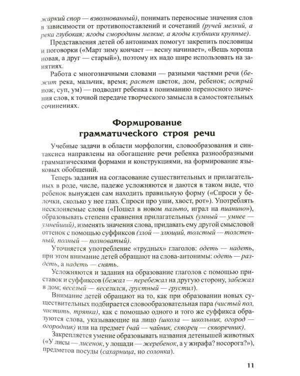 Развитие речи детей 6-7 лет. Подготовительная к школе группа