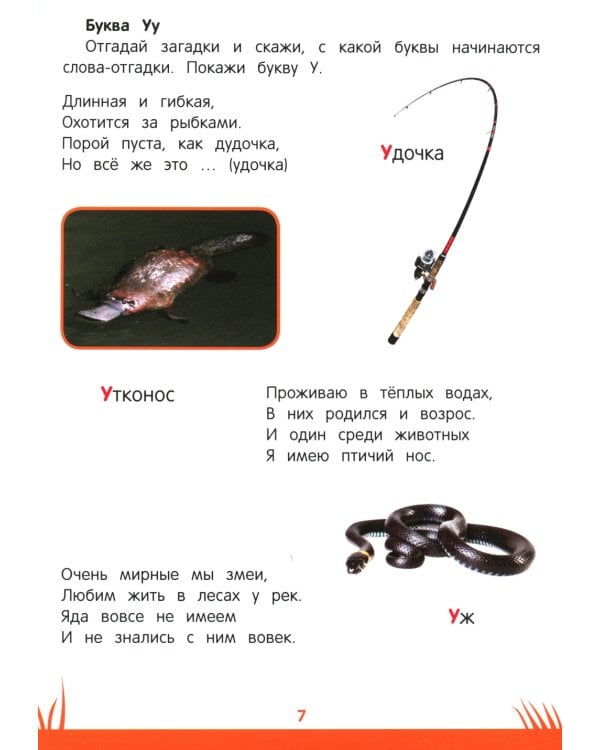 Книга знаний дошкольника. 4-5 лет: чтение, речь и многое другое