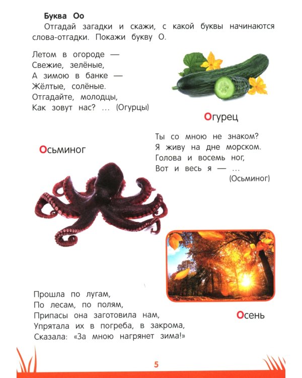 Книга знаний дошкольника. 4-5 лет: чтение, речь и многое другое
