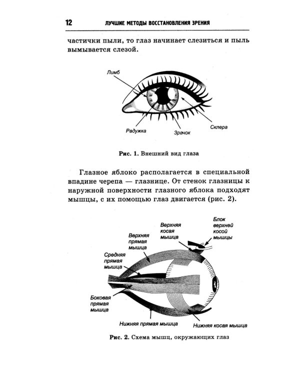 Лучшие методы восстановления зрения