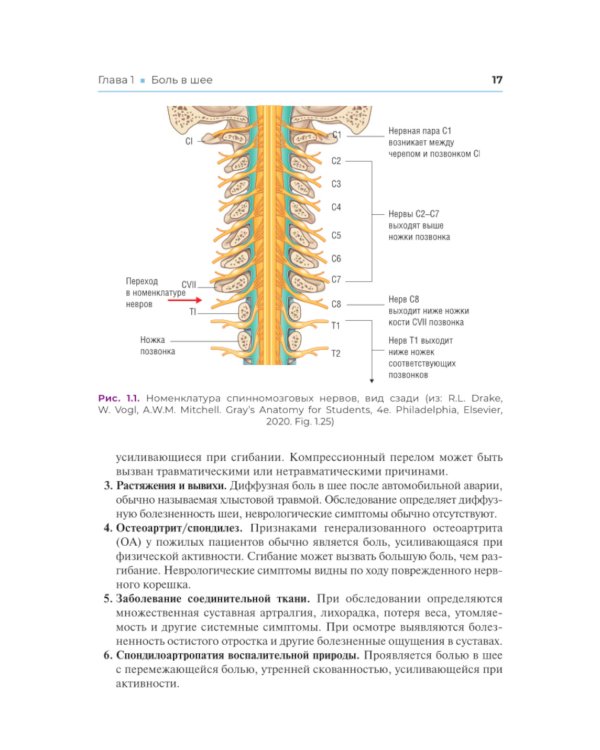 Клиническая диагностика в физической медицине и реабилитации. Разбор клинических случаев