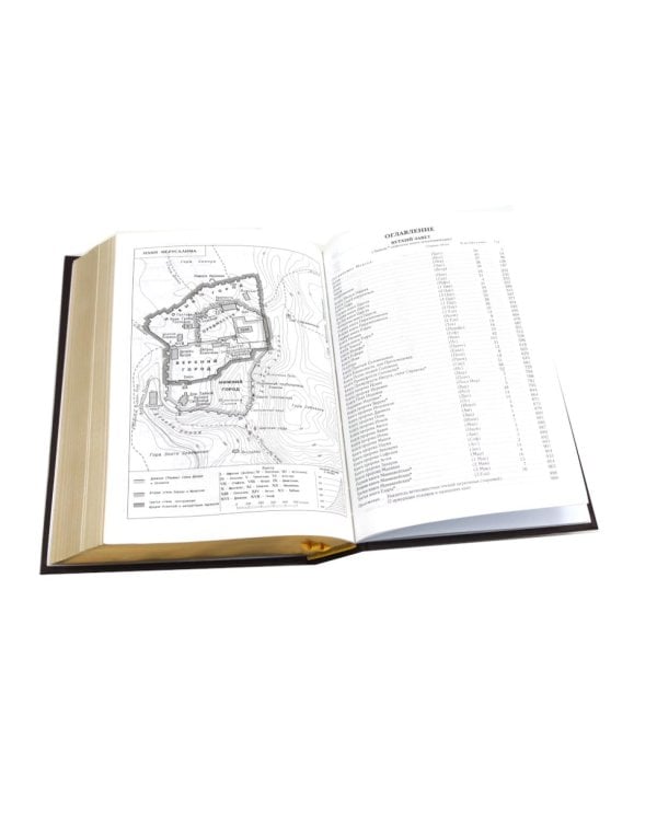 Библия. Книги Священного Писания Ветхого и Нового Завета (средний формат, бордовая, золотой обрез)