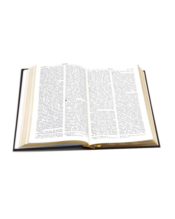 Библия. Книги Священного Писания Ветхого и Нового Завета (средний формат, бордовая, золотой обрез)