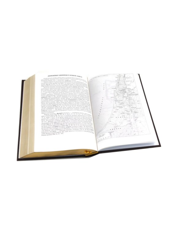 Библия. Книги Священного Писания Ветхого и Нового Завета (средний формат, бордовая, золотой обрез)