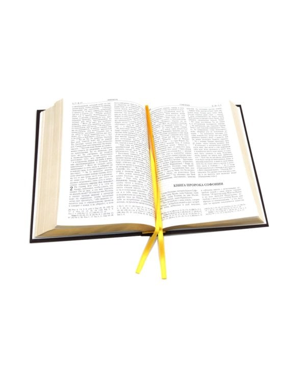 Библия. Книги Священного Писания Ветхого и Нового Завета (средний формат, бордовая, золотой обрез)