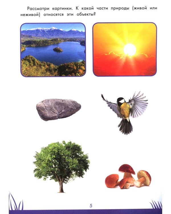 Книга знаний дошкольника. 5-6 лет: окружающий мир и многое другое