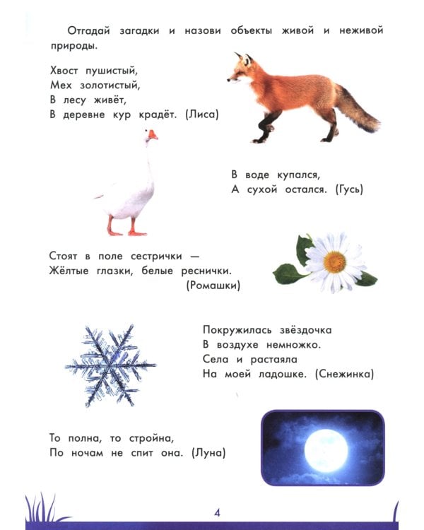 Книга знаний дошкольника. 5-6 лет: окружающий мир и многое другое