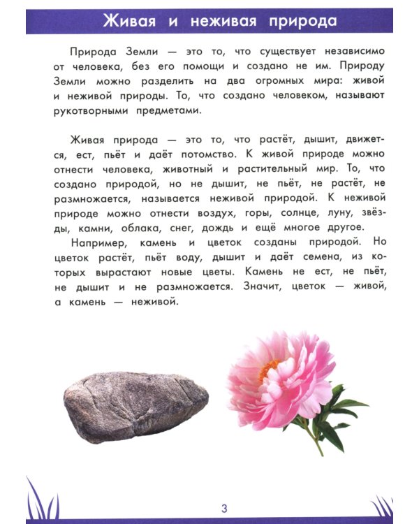 Книга знаний дошкольника. 5-6 лет: окружающий мир и многое другое