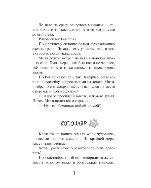 Кошкин город. Бродячие истории