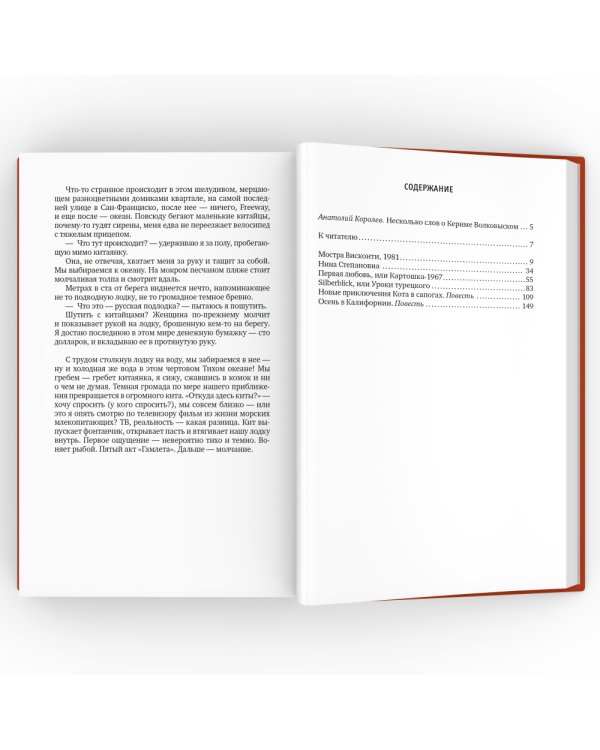 Осень в Калифорнии: рассказы и повести