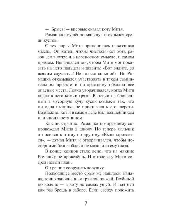 Кошкин город. Бродячие истории