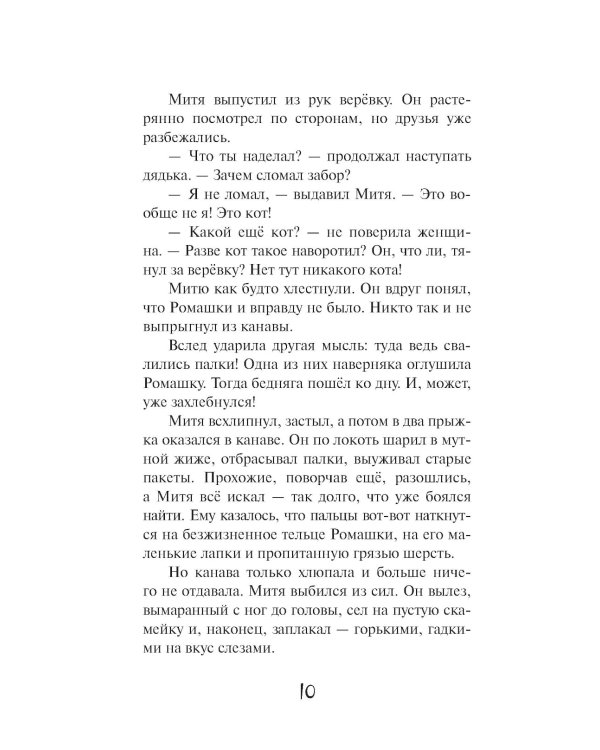 Кошкин город. Бродячие истории