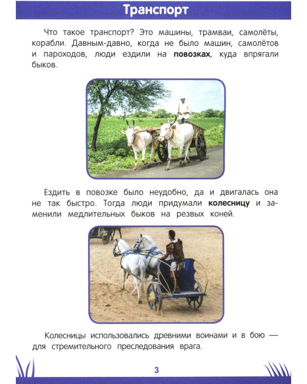 Книга знаний дошкольника. 6-7 лет: логика, этикет и многое другое