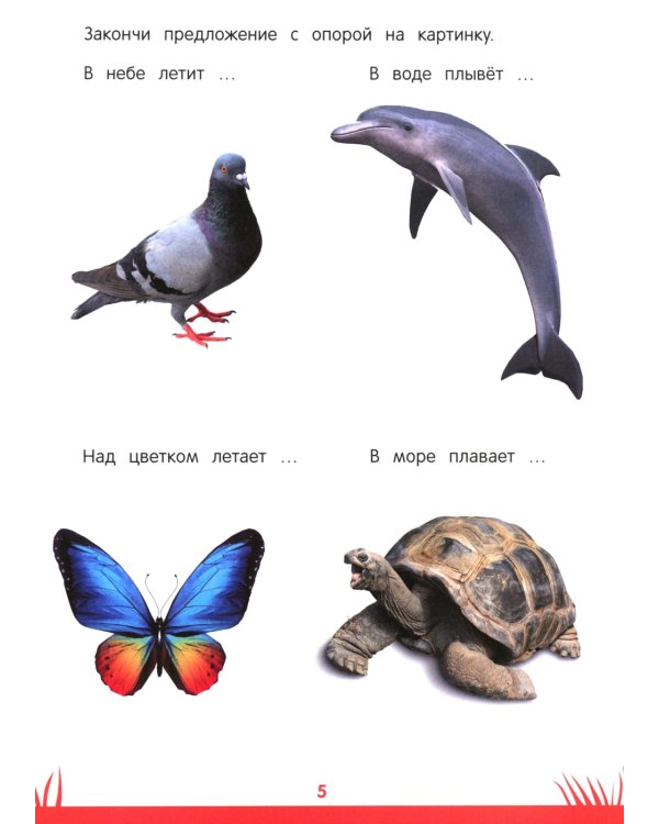 Книга знаний дошкольника. 6-7 лет: память, внимание и многое другое