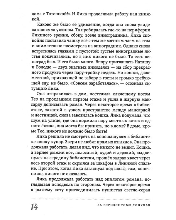 За горизонтом в лопухах. Метафизика выбора