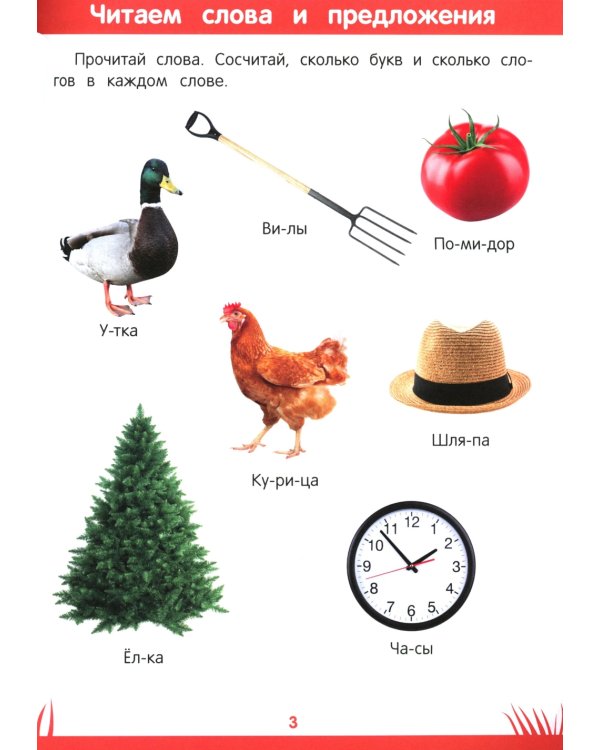 Книга знаний дошкольника. 6-7 лет: память, внимание и многое другое