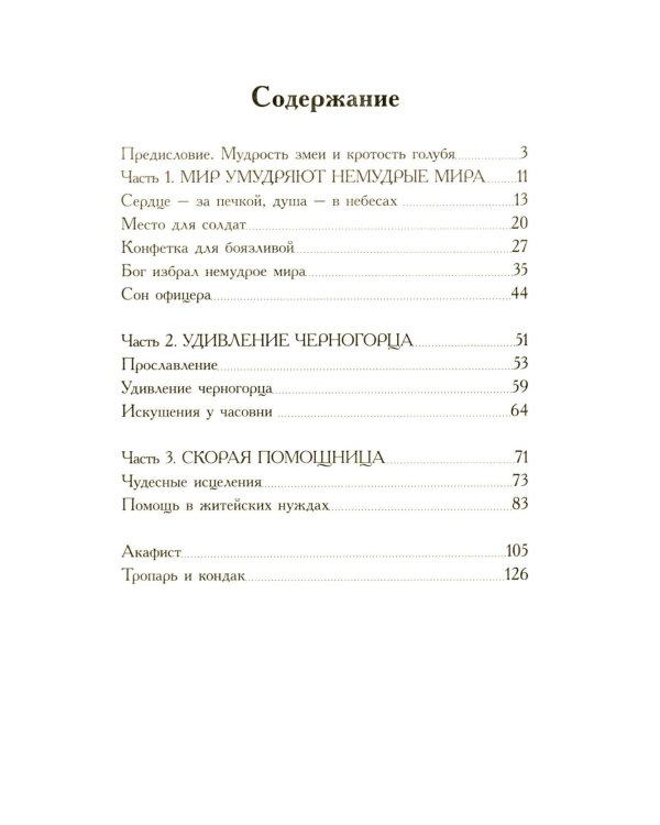 Любушка. Рассказы о рязанской блаженной (с приложением акафиста)
