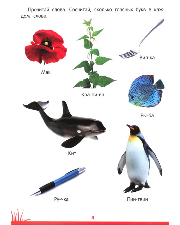 Книга знаний дошкольника. 6-7 лет: память, внимание и многое другое