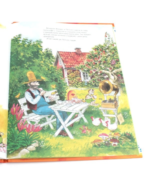 Петсон и Финдус: Именинный пирог, Финдус потерялся (комплект из 2-х книг)