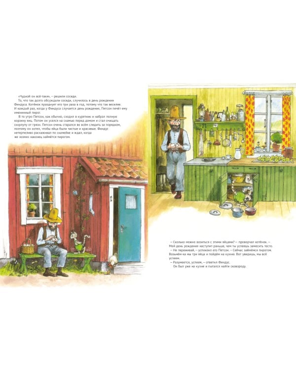 Петсон и Финдус: Именинный пирог, Финдус потерялся (комплект из 2-х книг)