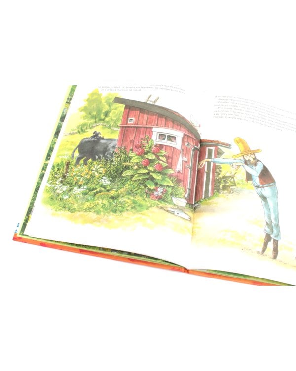 Петсон и Финдус: Именинный пирог, Финдус потерялся (комплект из 2-х книг)