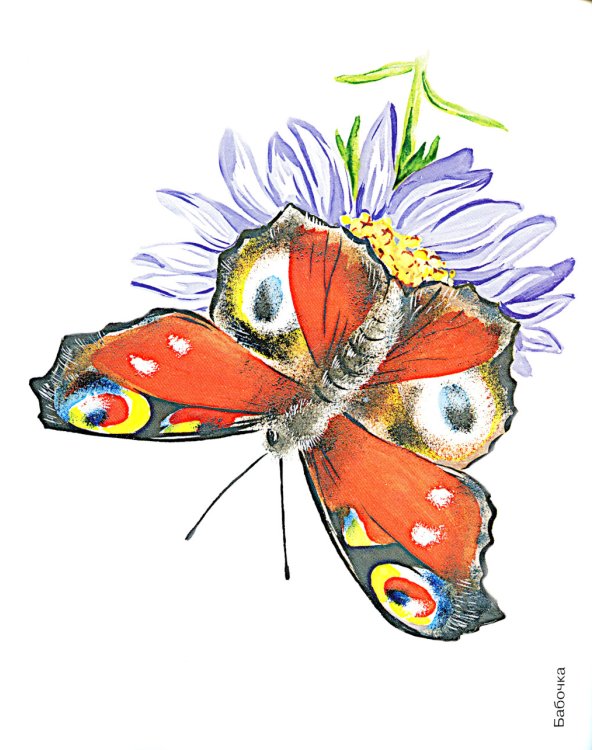 Насекомые в картинках. Наглядное пособие для педагогов, логопедов, воспитателей и родителей