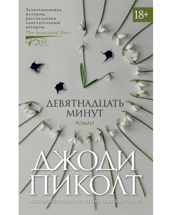 Девятнадцать минут: роман