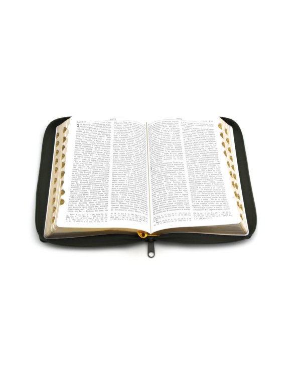 Библия. Книги Священного Писания Ветхого и Нового Завета (рециклированная кожа темно-зеленая, молния, золот.обрез)
