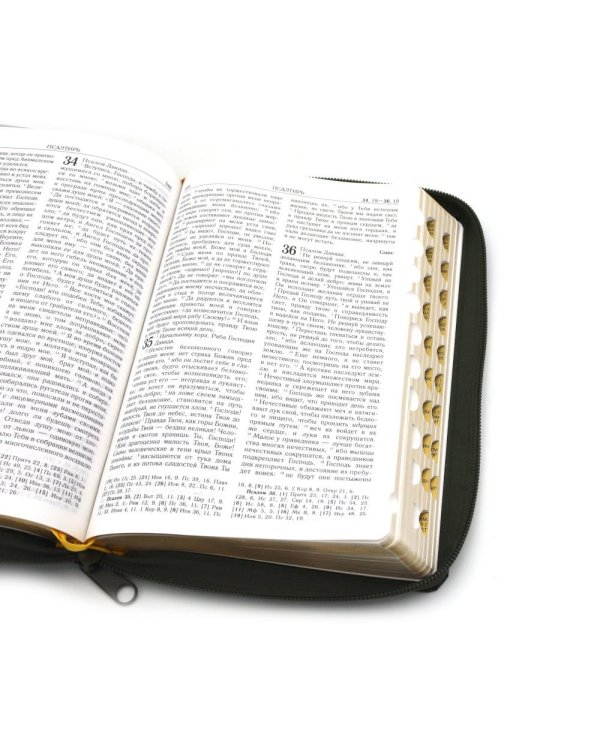 Библия. Книги Священного Писания Ветхого и Нового Завета (рециклированная кожа темно-зеленая, молния, золот.обрез)