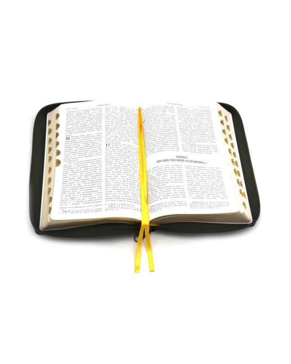 Библия. Книги Священного Писания Ветхого и Нового Завета (рециклированная кожа темно-зеленая, молния, золот.обрез)
