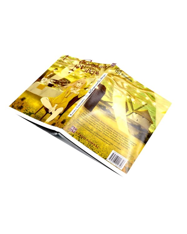 Ведьма и зверь. Т. 4-6: манга (комплект из 3-х томов)