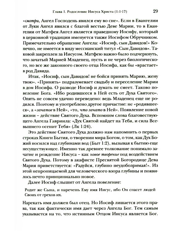 Евангелие от Матфея. Богословско-экзегетический комментарий. В 2 т