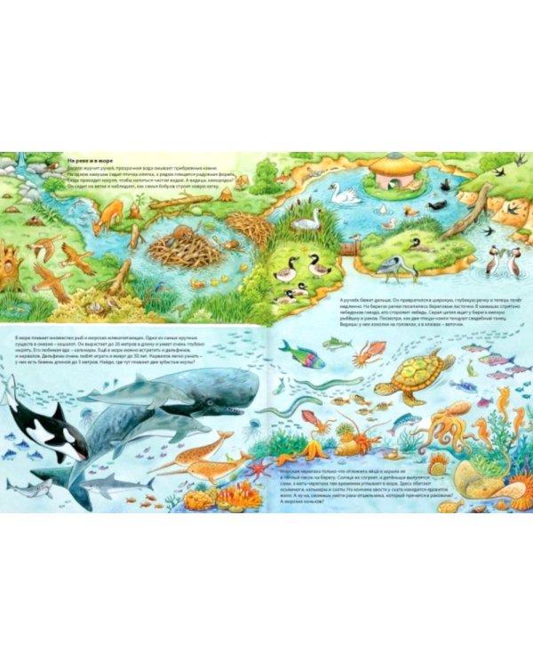 Мир животных