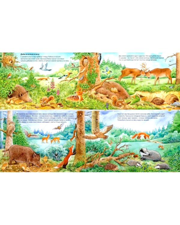 Мир животных