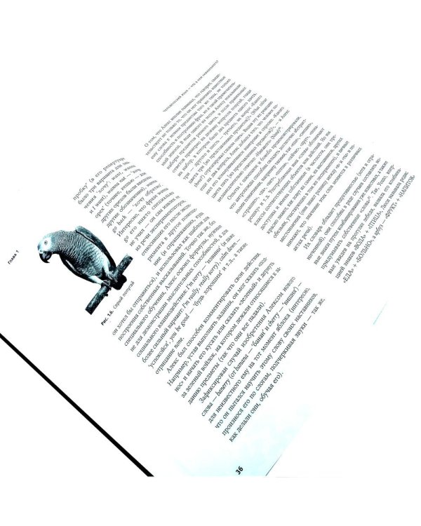 Происхождение языка; Языкознание: От Аристотеля до компьютерной лингвистики (комплект из 2-х книг)