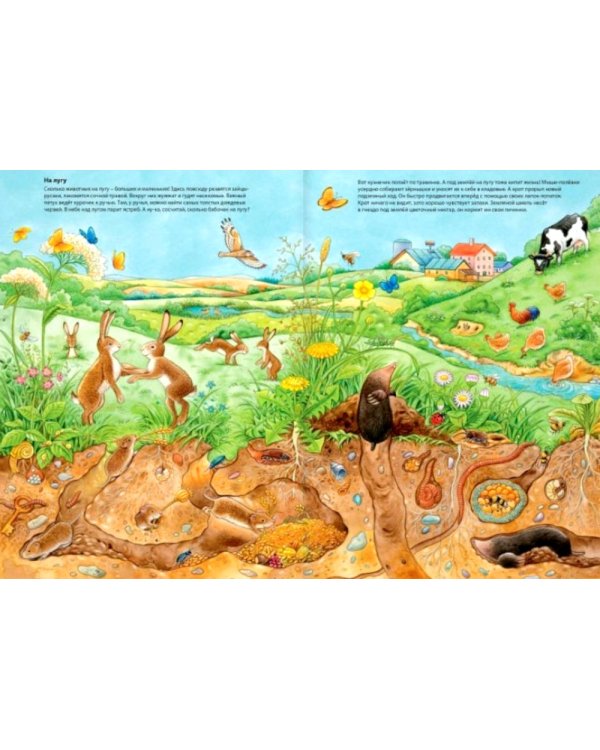 Мир животных