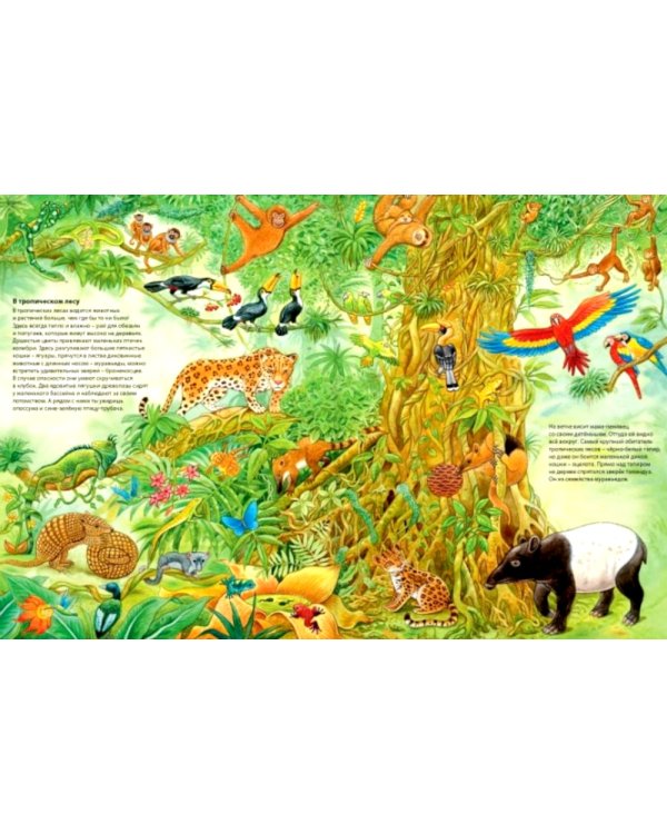 Мир животных