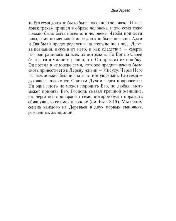 Два дерева в саду