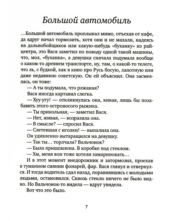 Голубиная книга анархиста: роман